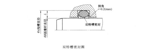 雙特槽密封圈